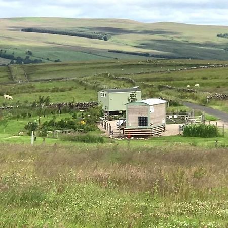 The Buteland Stop Rosie Off Grid Shepherds Hut بيلينجهام المظهر الخارجي الصورة