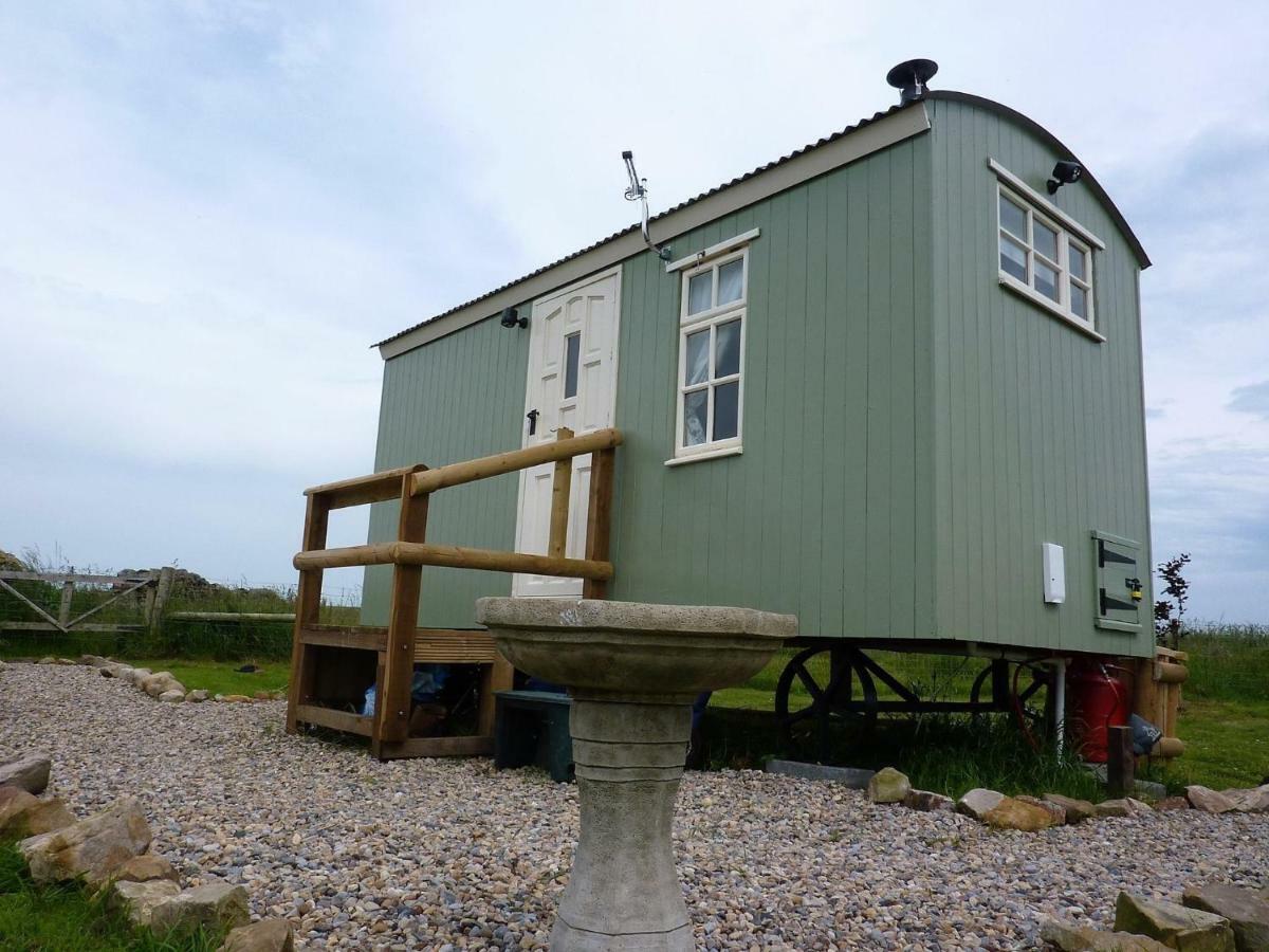 The Buteland Stop Rosie Off Grid Shepherds Hut بيلينجهام المظهر الخارجي الصورة