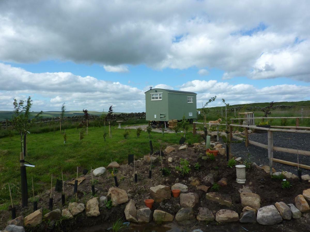 The Buteland Stop Rosie Off Grid Shepherds Hut بيلينجهام المظهر الخارجي الصورة