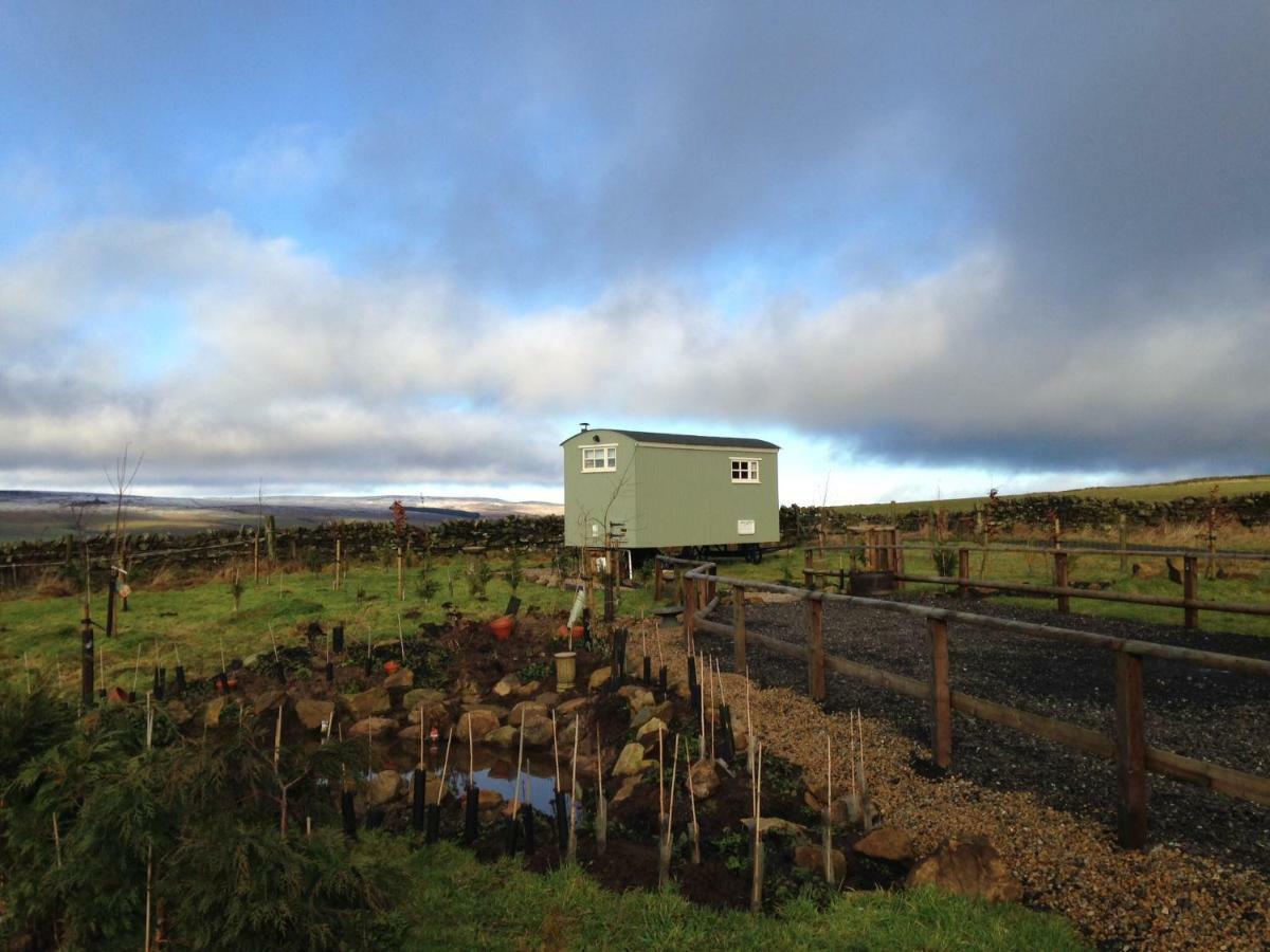 The Buteland Stop Rosie Off Grid Shepherds Hut بيلينجهام المظهر الخارجي الصورة