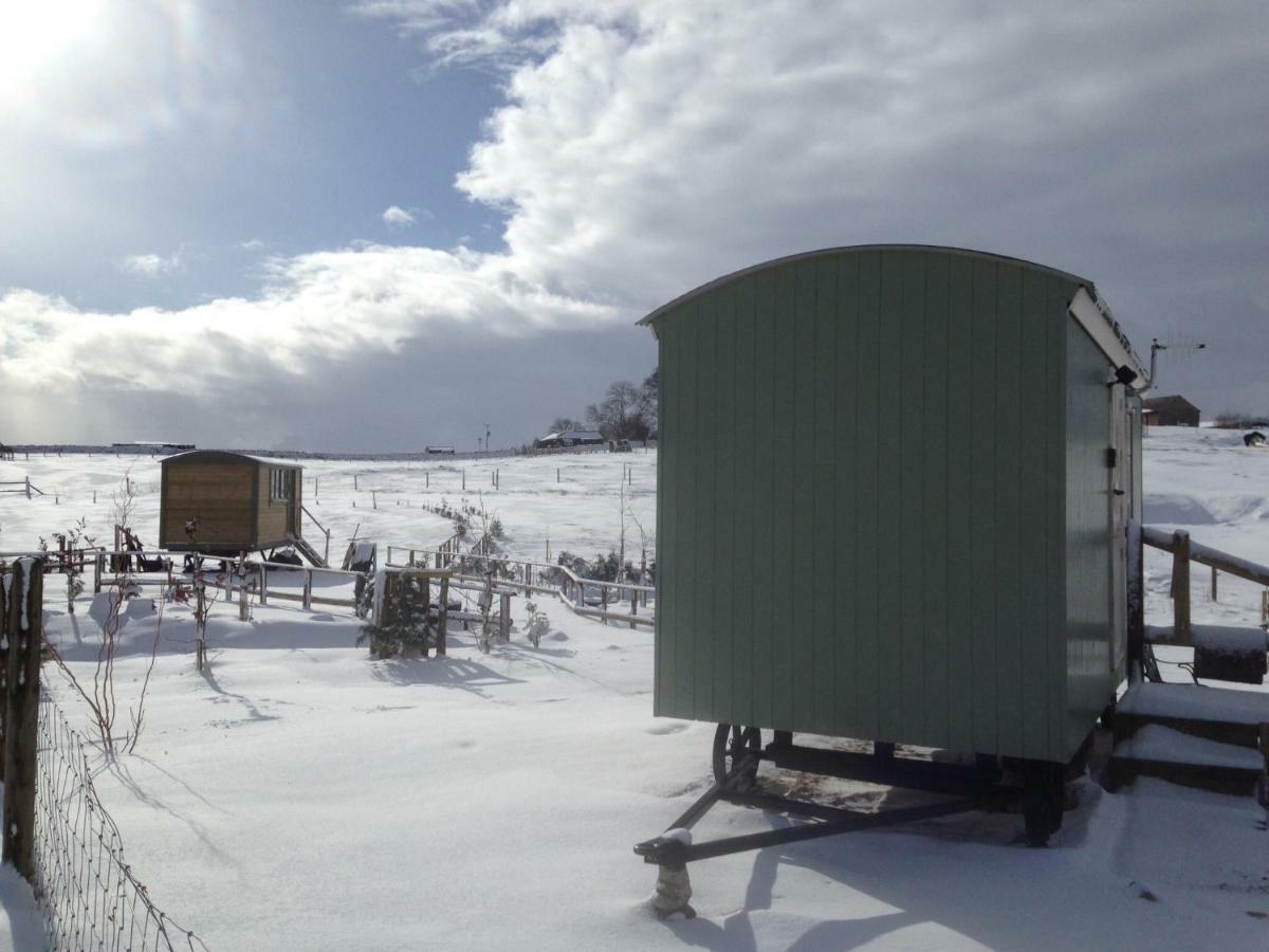 The Buteland Stop Rosie Off Grid Shepherds Hut بيلينجهام المظهر الخارجي الصورة
