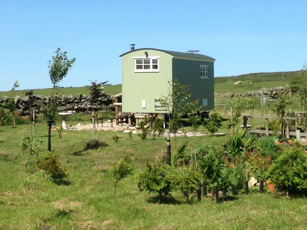 The Buteland Stop Rosie Off Grid Shepherds Hut بيلينجهام المظهر الخارجي الصورة