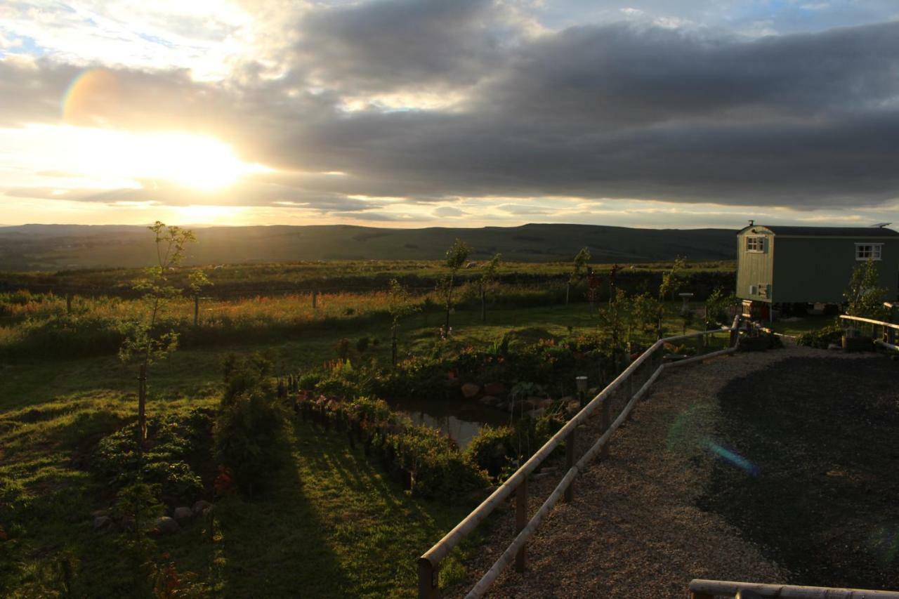 The Buteland Stop Rosie Off Grid Shepherds Hut بيلينجهام المظهر الخارجي الصورة